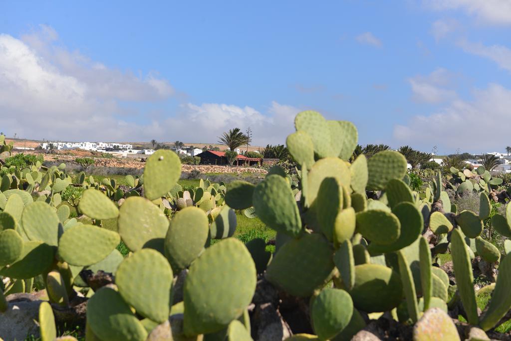 Villa Taguluche Famara Exteriör bild